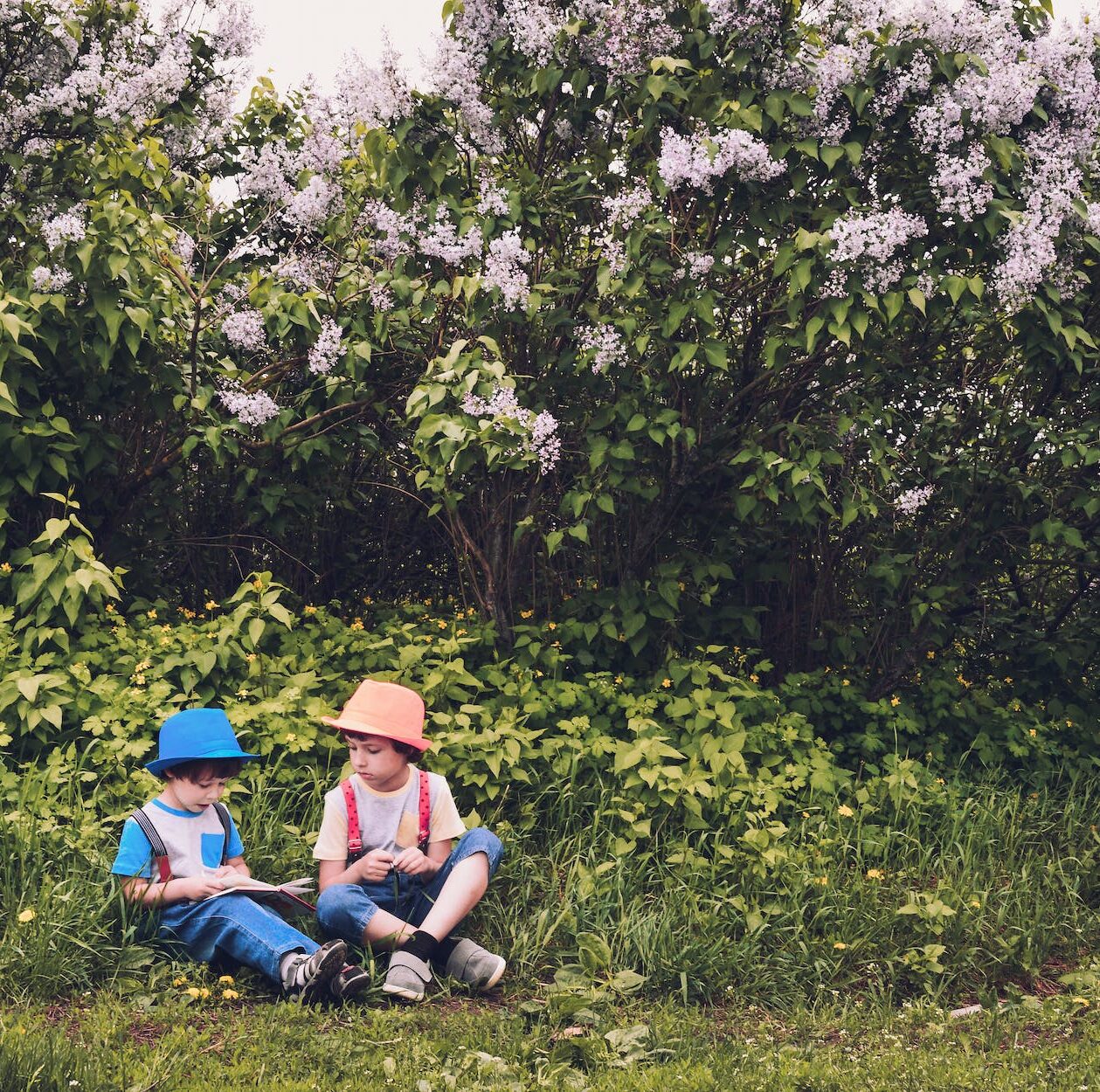 boy in white and blue shirt and blue jeans sitting in green grass