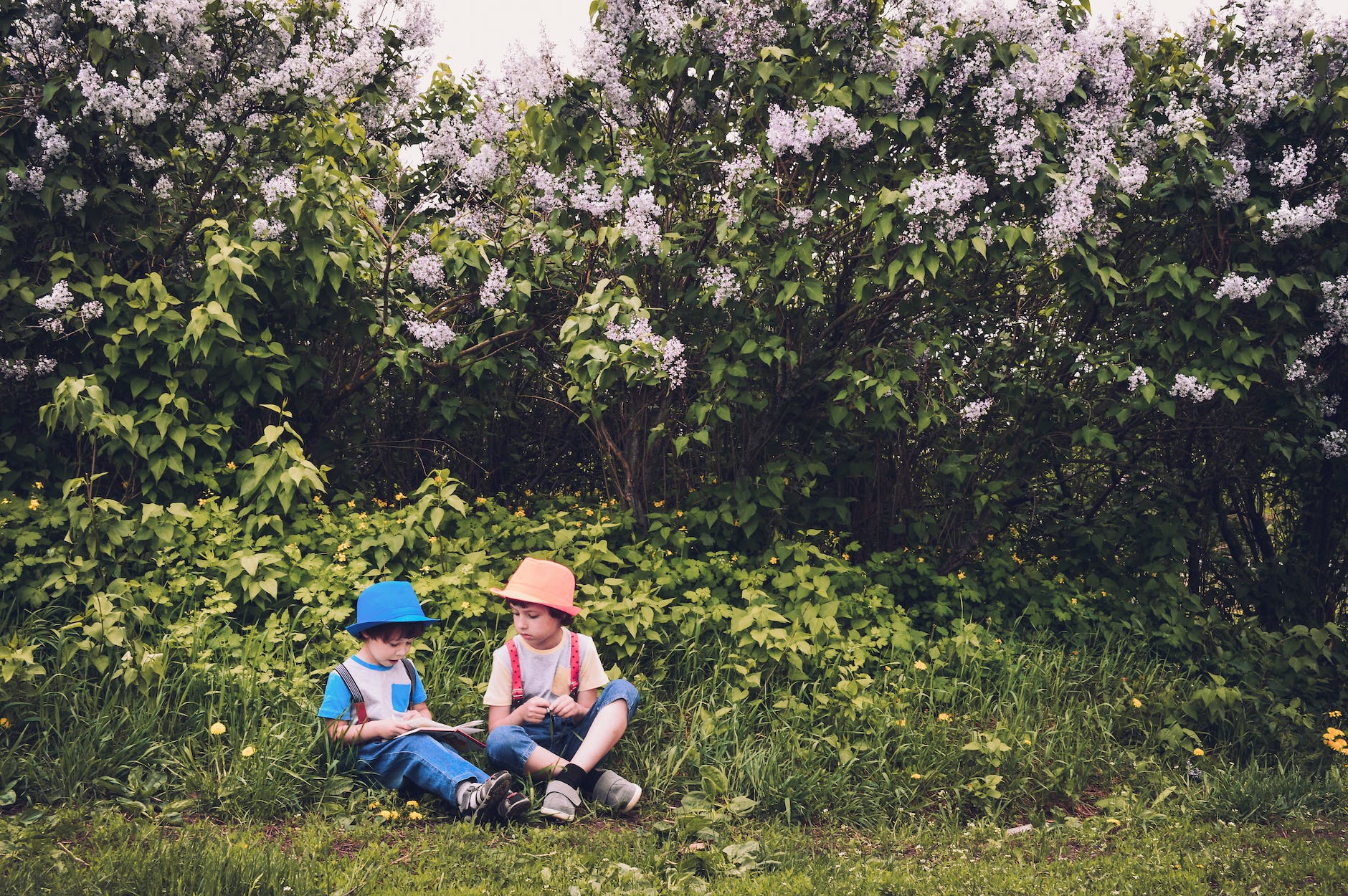 boy in white and blue shirt and blue jeans sitting in green grass