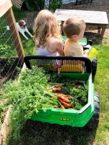 kids hauling carrots in a gator