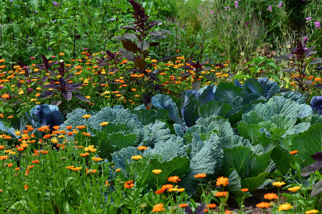 kitchen garden cottage garden style
