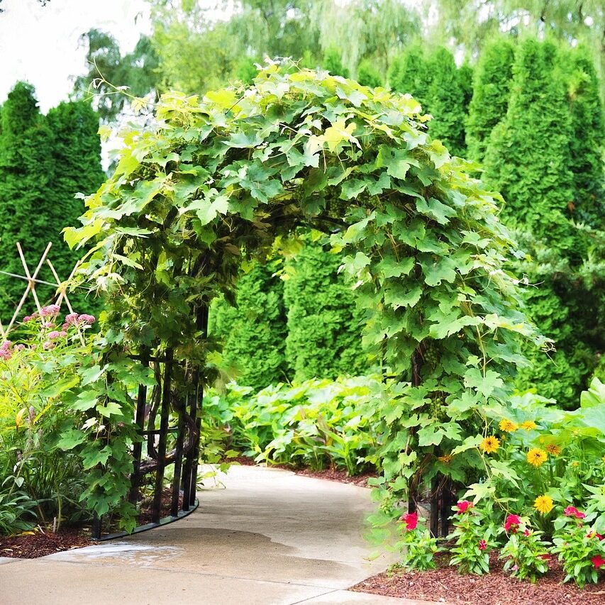 arbor in the garden - pixabay