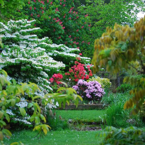 cottage garden